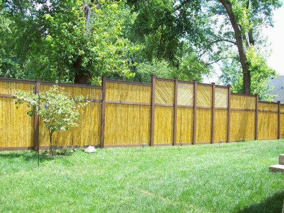 bamboo garden fence