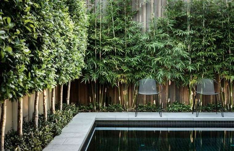 deco bamboo garden pond water