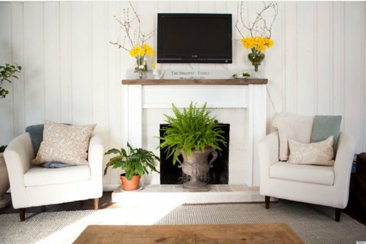 deco fireplace is plant