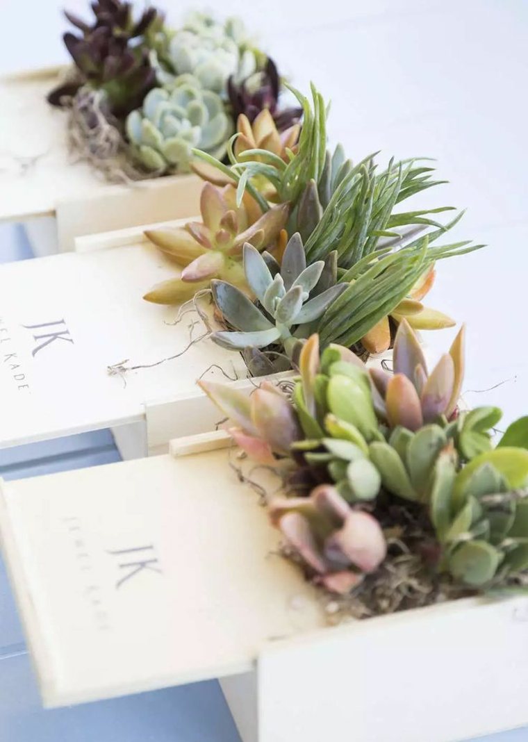 deco idea perkahwinan meja succulents