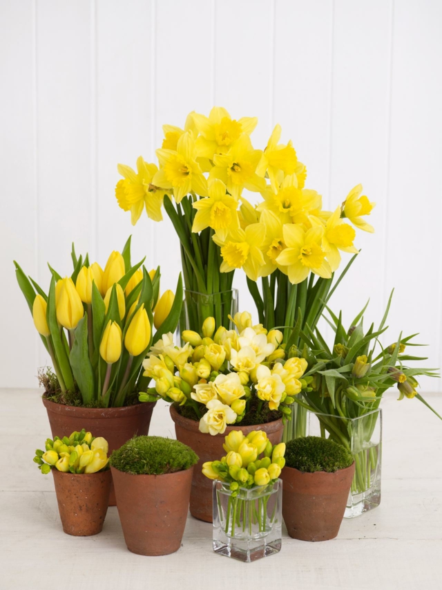 spring idea home decor living room flowers fresh yellow