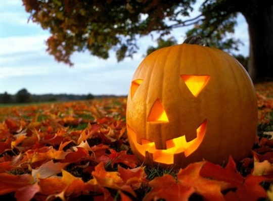 intressant pumpa halloween deco