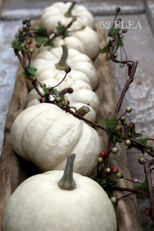 deco interesting pumpkins