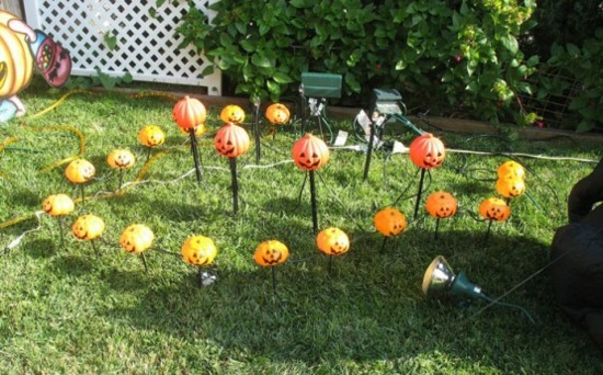 deco interesting garden pumpkins