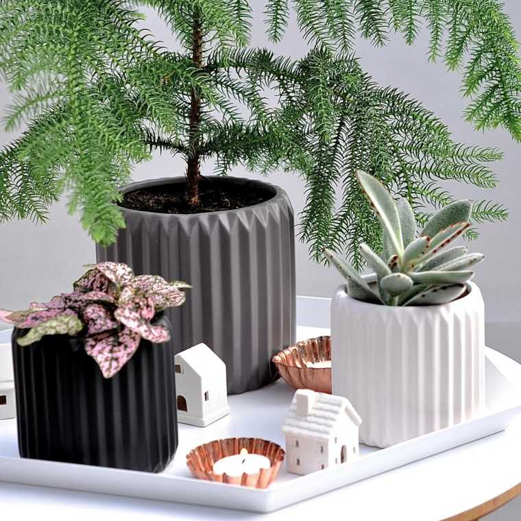 vase gray design interior decoration idea flowers decoration