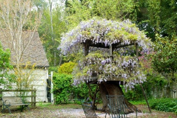 deco outdoor garden zen tree