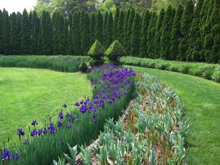 deco topiary garden plant