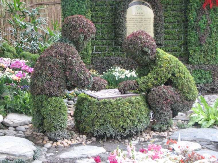 tumbuhan topiary deco garden zen