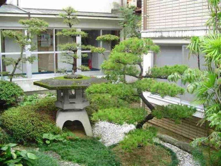 deco garden zen pictures plant ideas