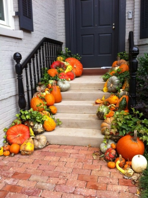 deco pumpkin steps