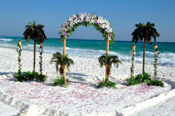 outdoor wedding arch