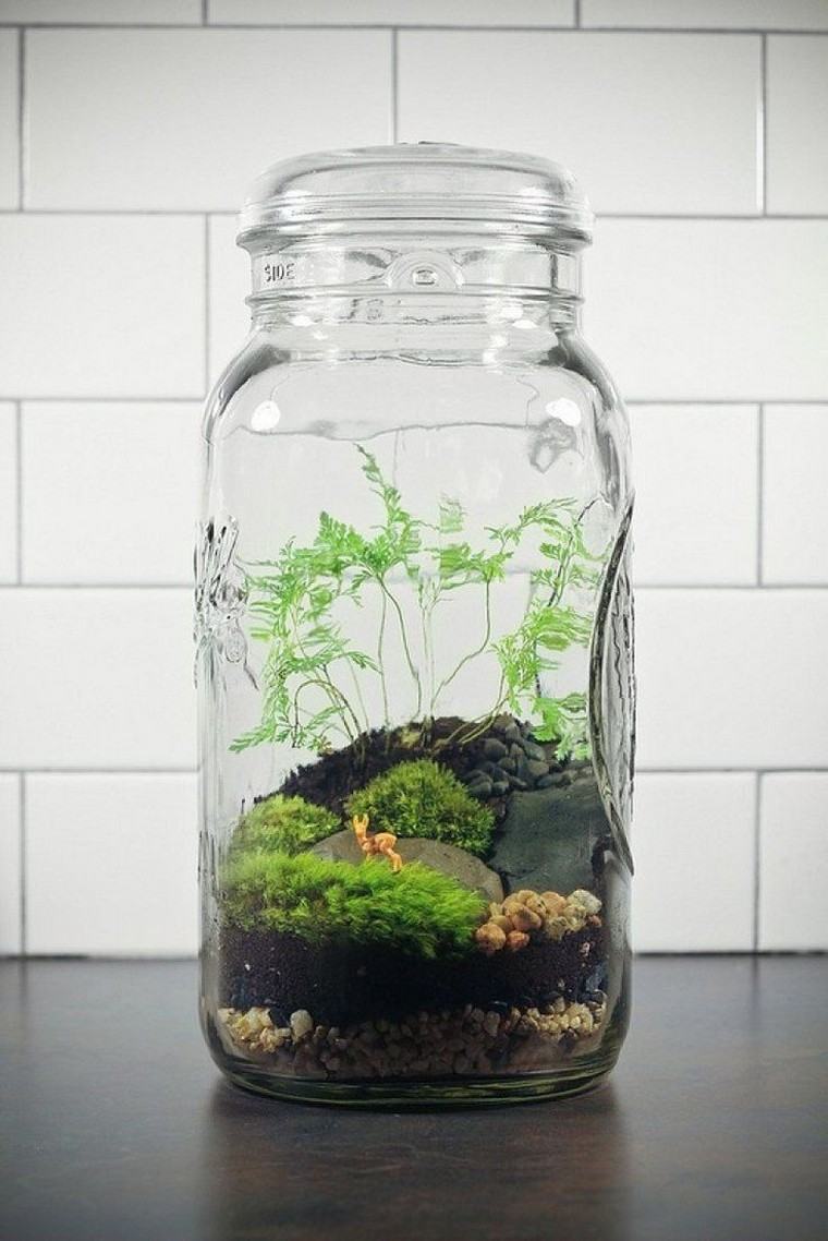 deco terrarium plant idea interior terrarium deco