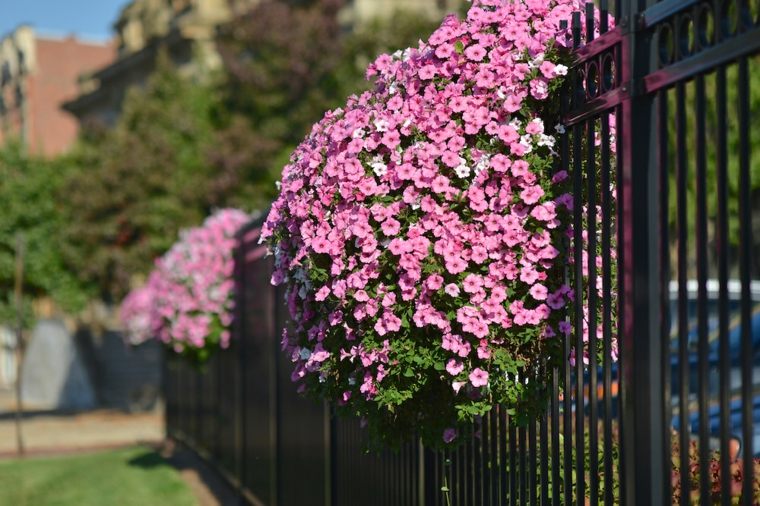 deco exterior wall garden picture hanging flowers