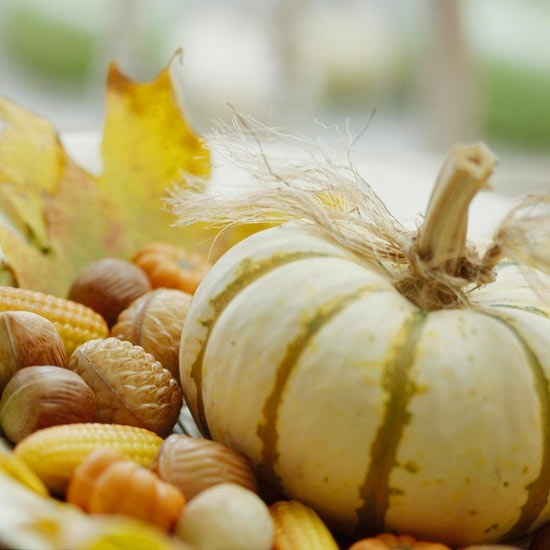 deco nature pumpkins apples pine