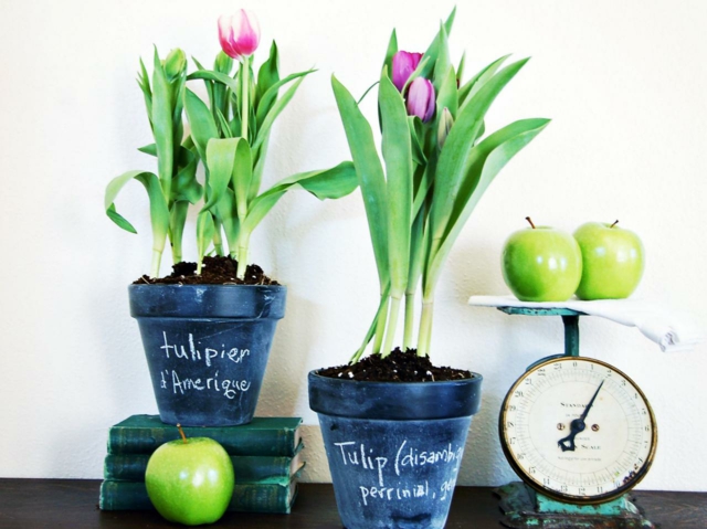 easter original idea of ​​decoration flowerpot tulips apples