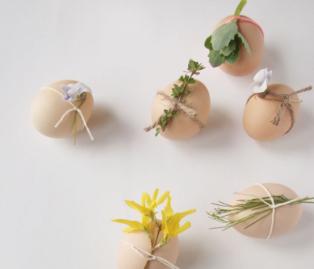 dekorasjon original påske enkel ide naturlige blomster øko egg organiske ideer dekorasjon