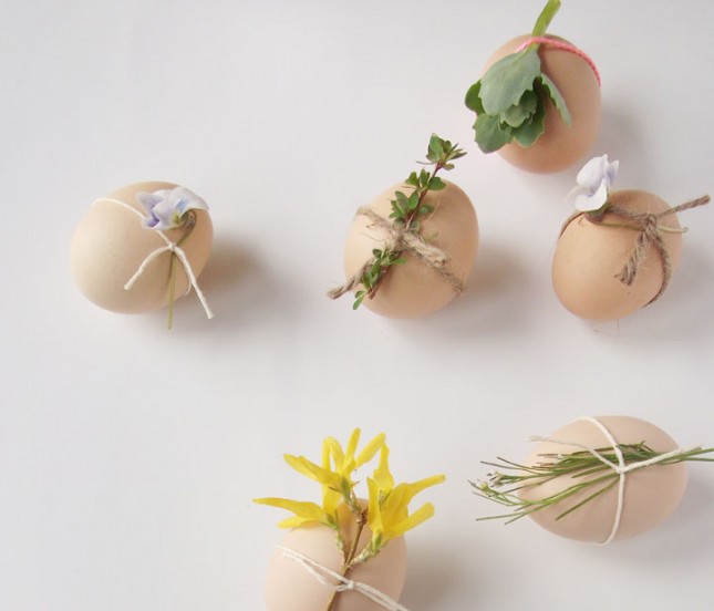 Velikonočna jajca Naravni eko deco je preprost za izdelavo minimalističnega deko design s cvetjem