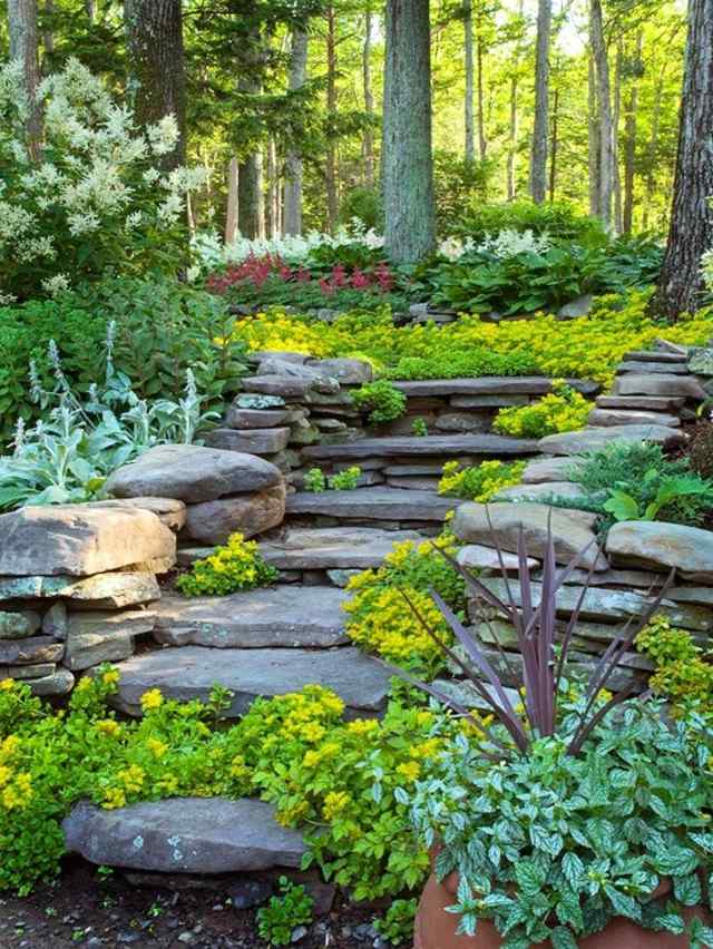 how to arrange your garden idea staircase stone garden plant decoration