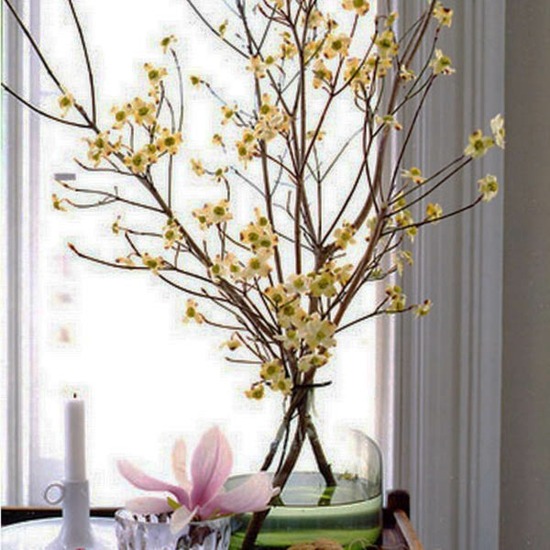 Spring deco blomstrende grenen