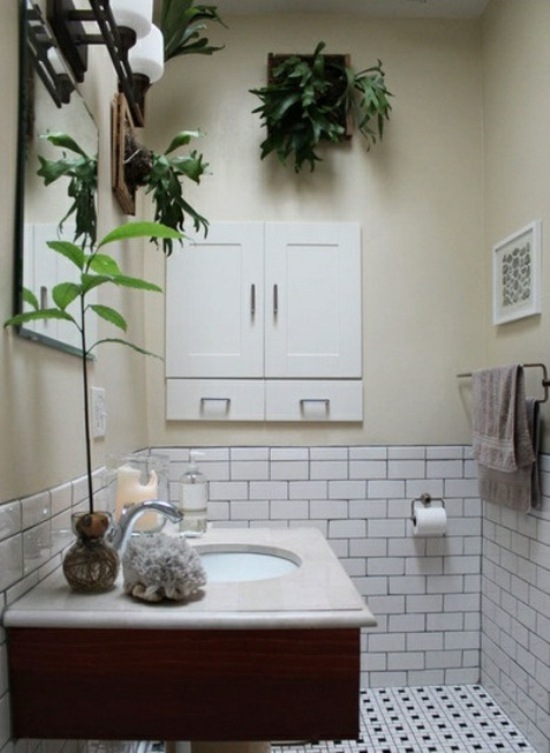 bathroom decor hanging plants