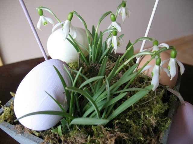 deco table green moss egg drills snow