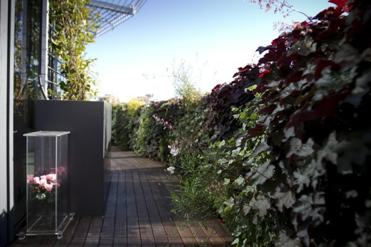 landscaping terraces garden small space