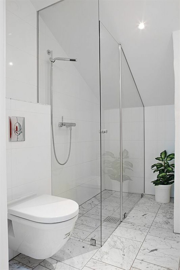 toilet idea decoration shower cabin design