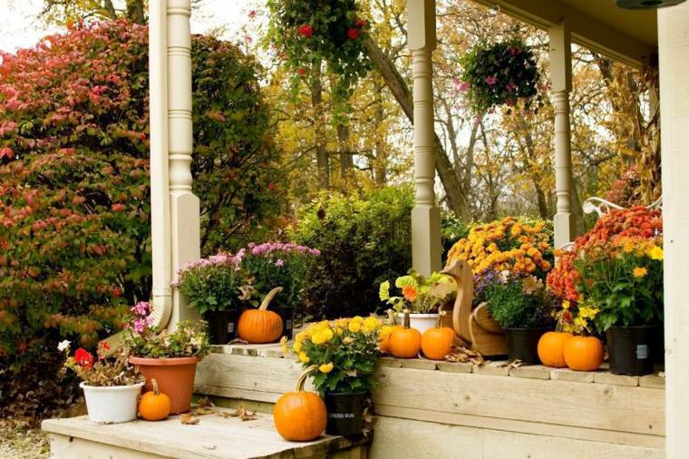 decorate space exterior pumpkin flowers deco terrace autumn