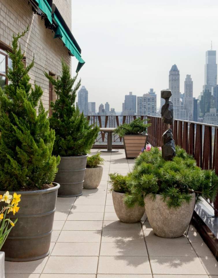 green plant balcony decoration