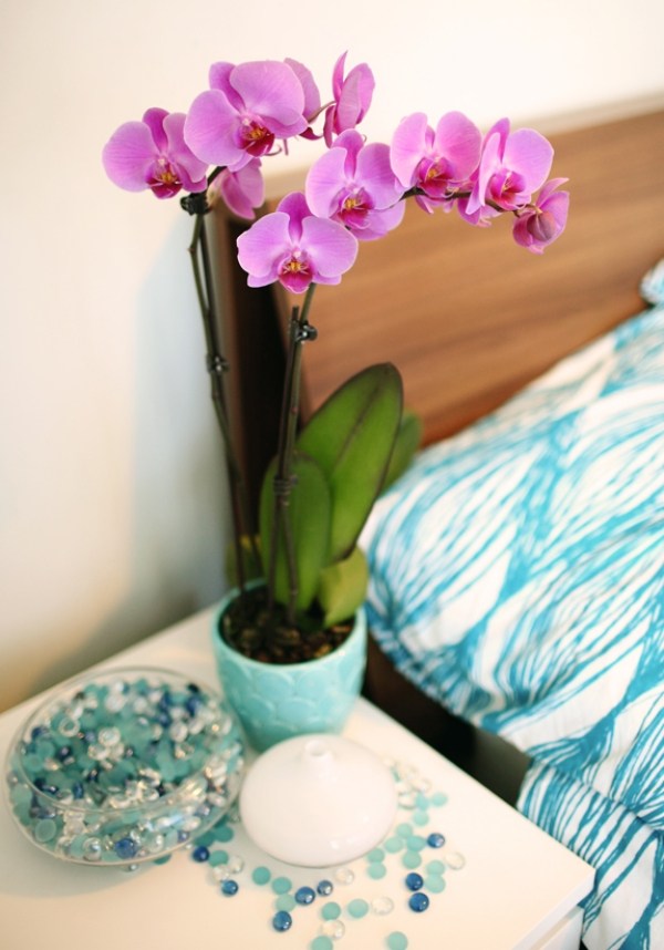 bedroom decoration blue orchidee violet
