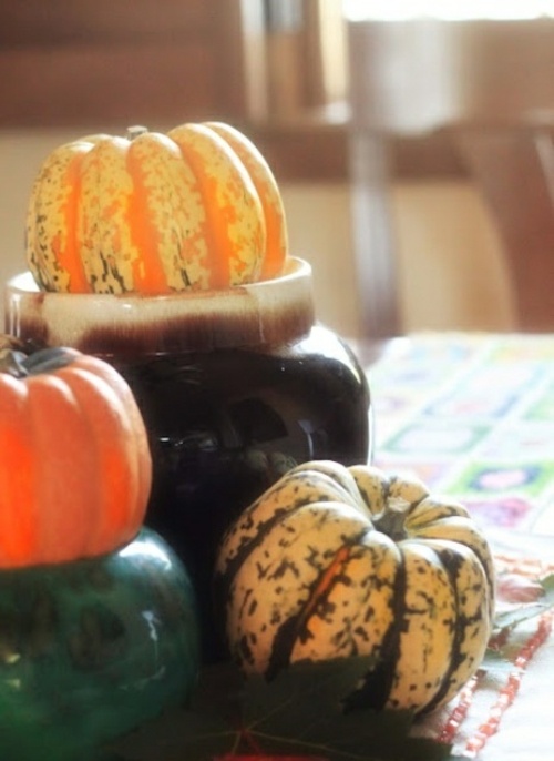 pumpkin decoration nature