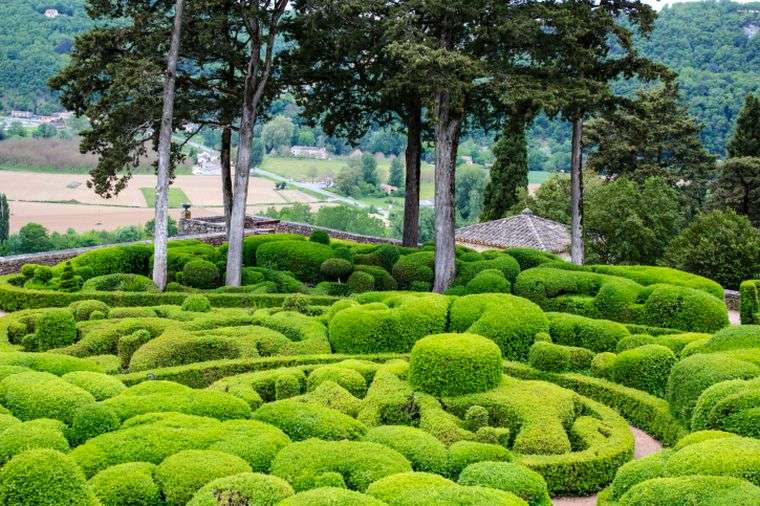 modern topiary design garden decoration