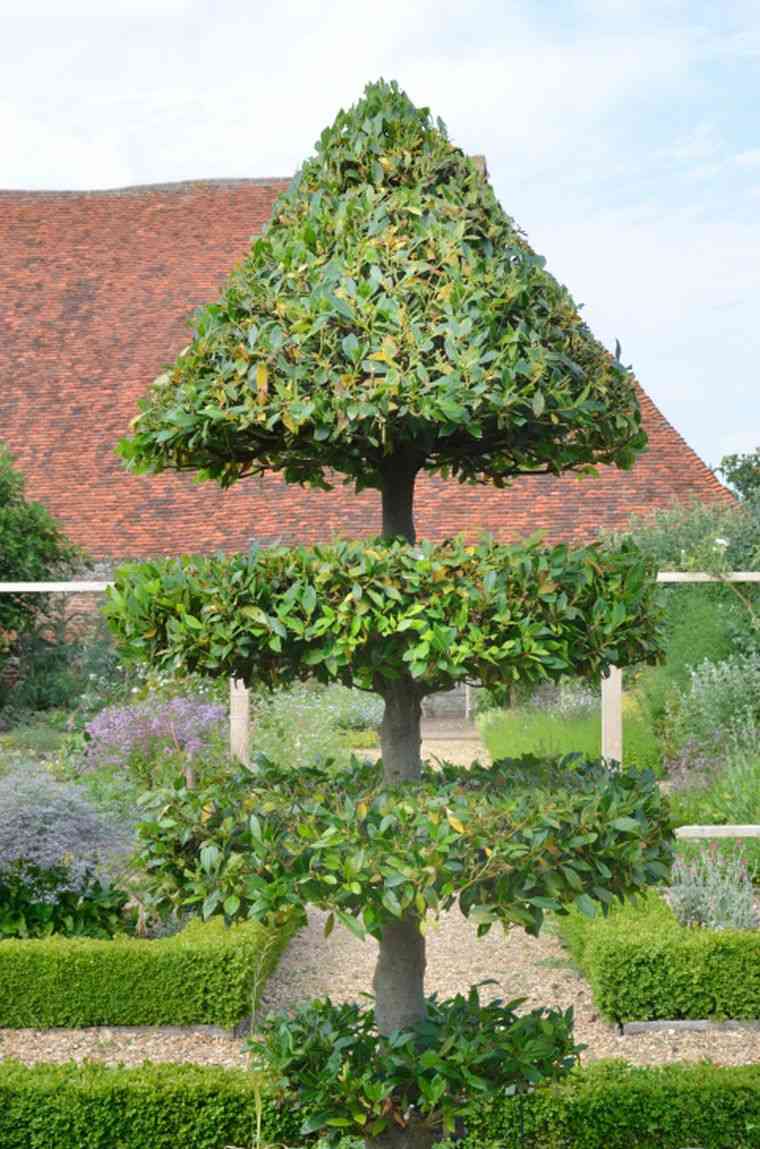 hiasan taman seni topiary