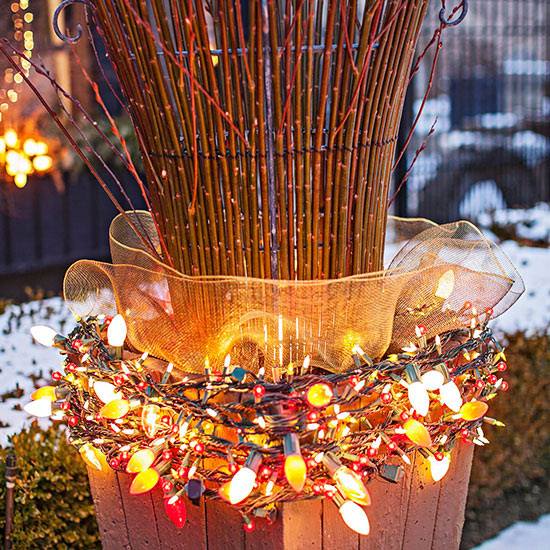 christmas decoration outdoor branches lights multicolored