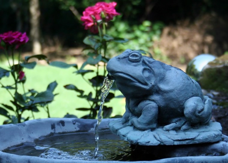 Zen house and garden