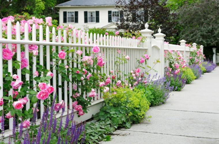 elegant garden fence rose wood outdoor landscaping