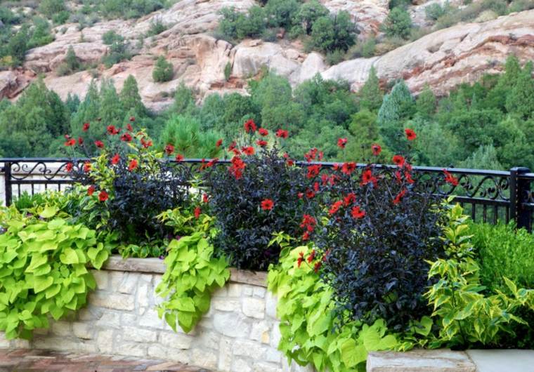 floral decoration garden outdoor fence