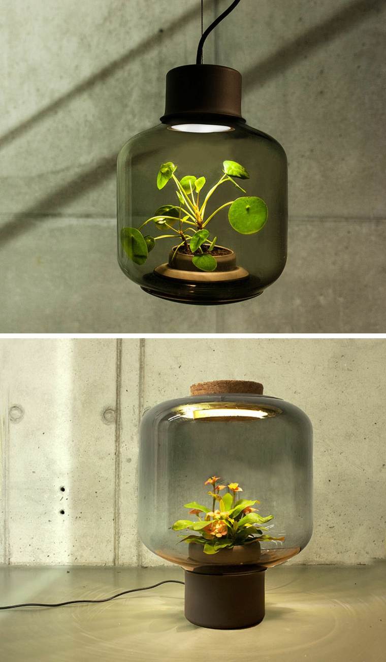 boligindretning-lampe-plante