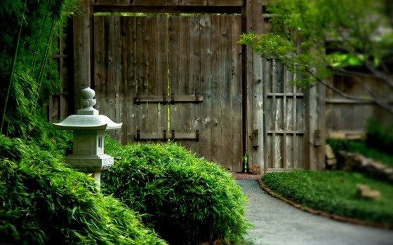 decoration garden outside japanese idea