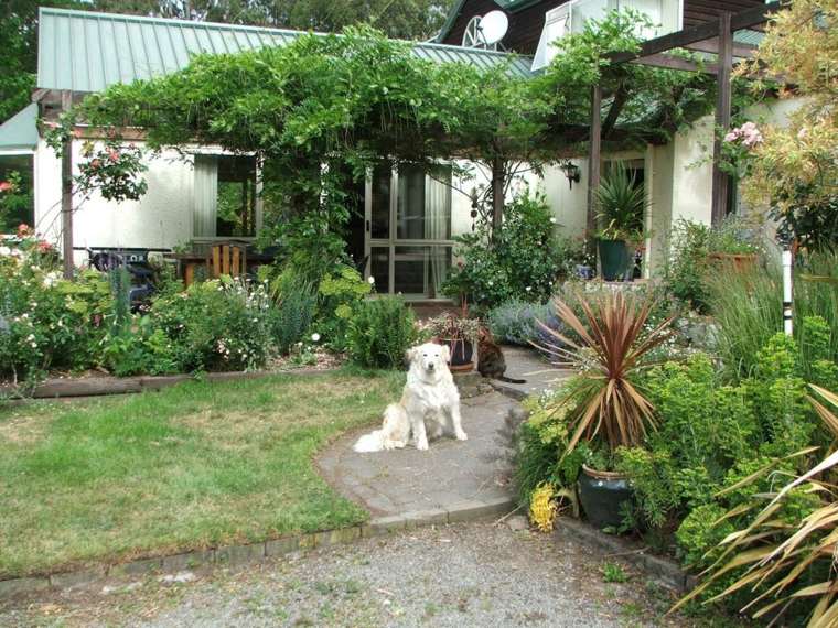 small tropical garden dog