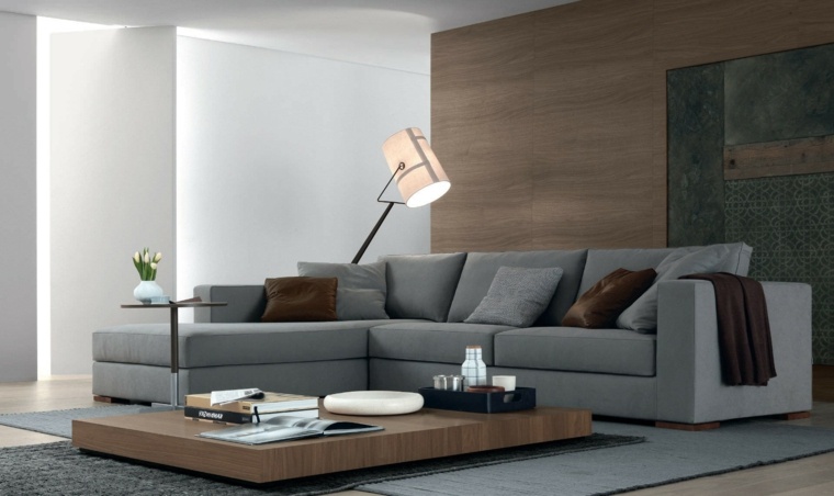 modern design gray sofas