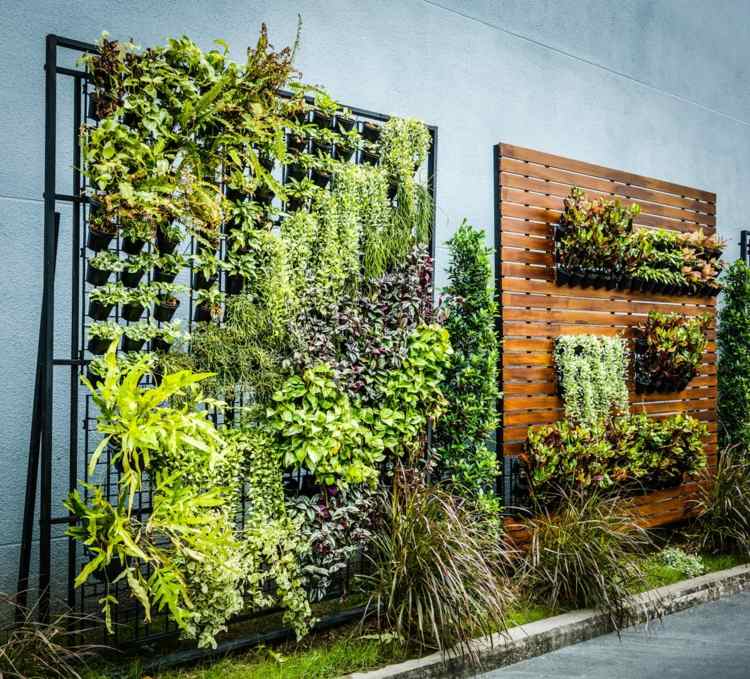 vegetal wall decoration design