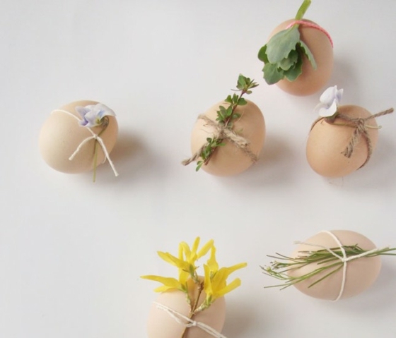 decoration eggs plants easter