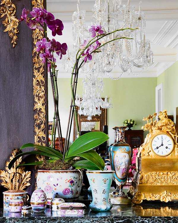 rococo style orchidee decoration