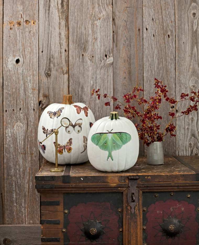 decoration original halloween white pumpkin idea deco plant