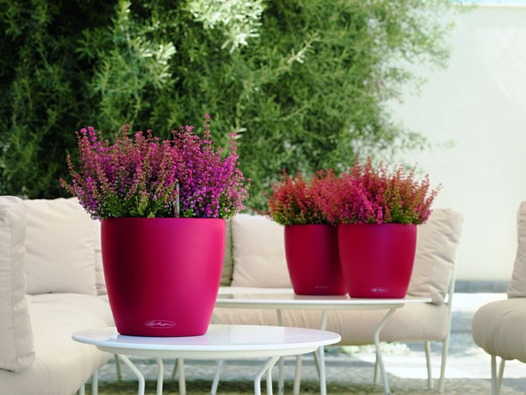 decoration living room outdoor garden plants in pot