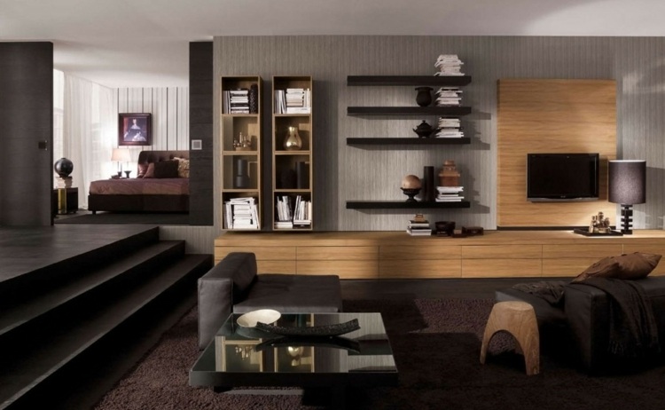 elegant modern living room decoration