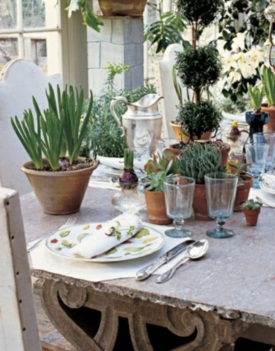 decoration table composition succulents