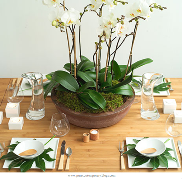 decoration table orchids white moss green