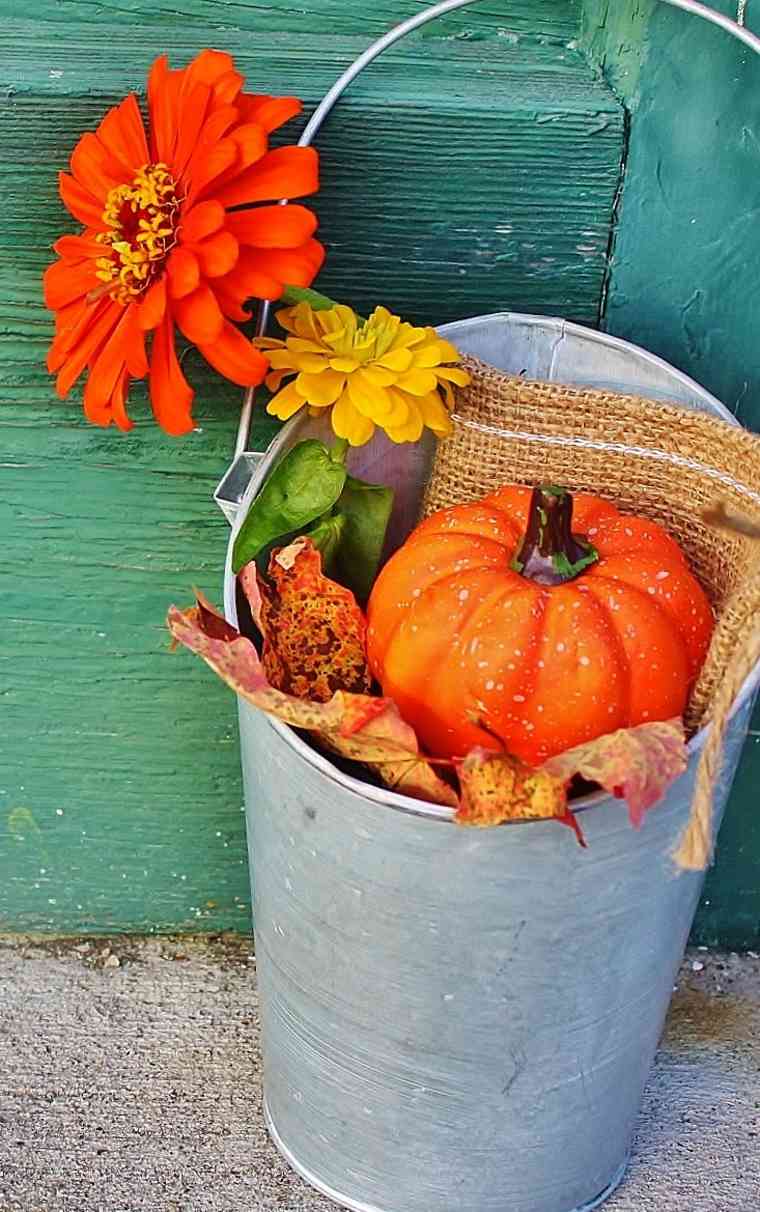 decoration-theme-autumn pumpkin